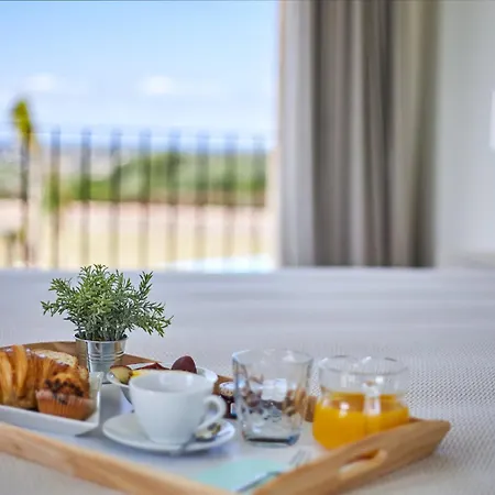 Super Luxury Biggest Pool Mallorca's